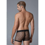 Bóxer para hombre con estampado de estrellas y corte ultratransparente para un look atrevido – Desirelle