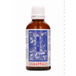 Pharmquests by Shots China Brush XL sérum retardante 50 ml - Imagen 4