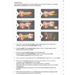 Extensor de pene Pumped - Imagen 11