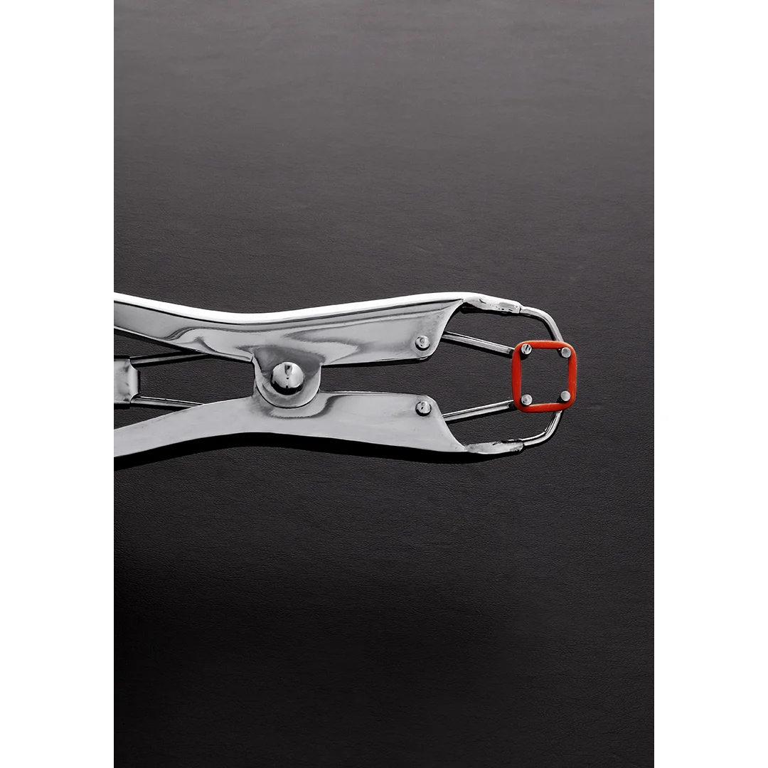 Pinza BDSM de sujeción firme – Tit Torture Pliers - Imagen 3