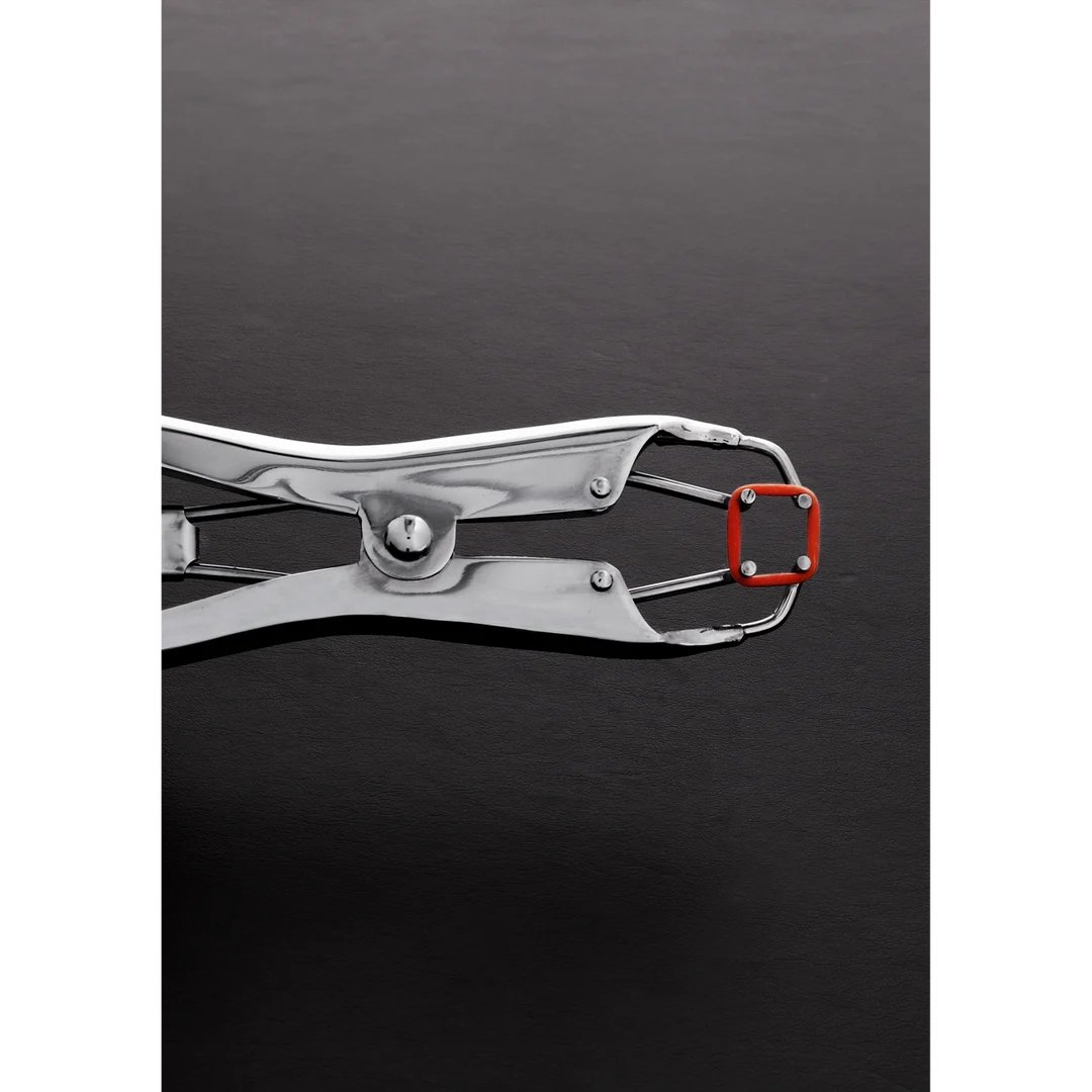 Pinza BDSM de sujeción firme – Tit Torture Pliers - Imagen 2